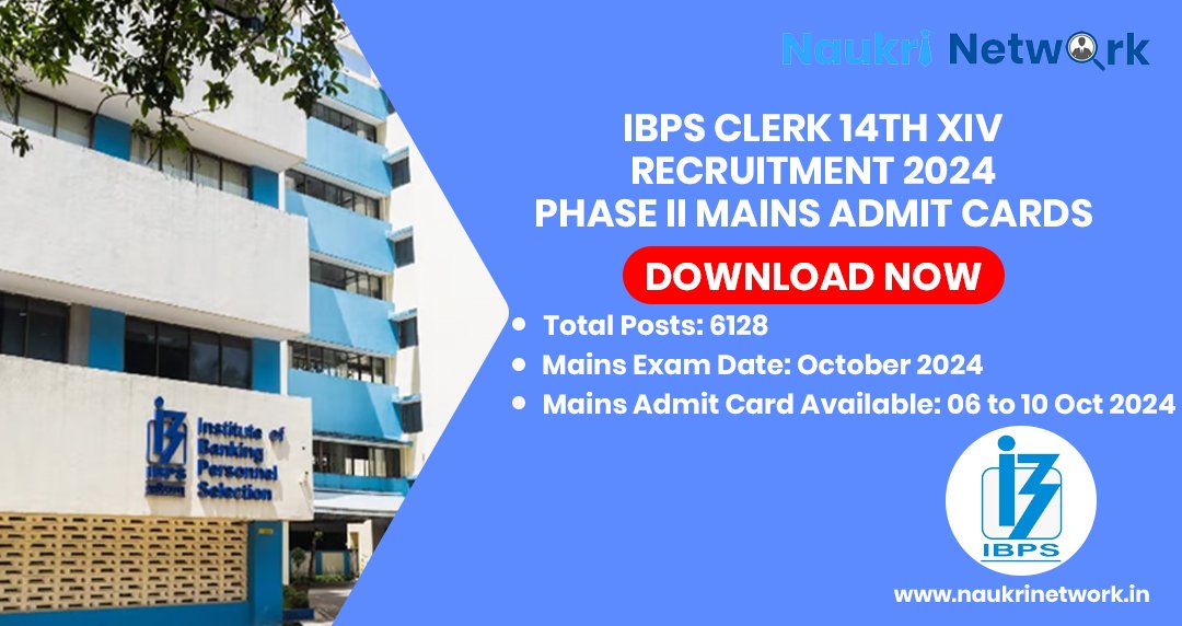 IBPS Clerk 14th XIV Recruitment 2024 Phase II MAINS Admit Cards