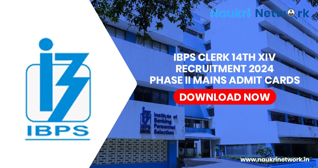 IBPS Clerk 14th XIV Recruitment 2024 Phase II MAINS Admit Cards