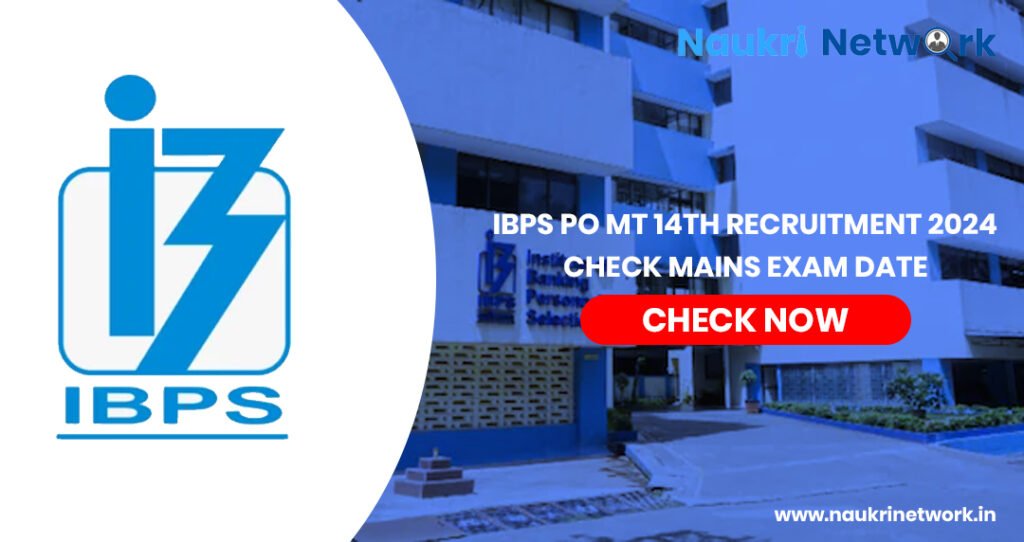 IBPS PO MT 14th Recruitment 2024