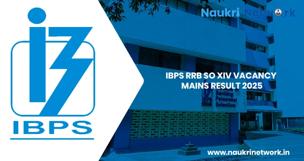 IBPS RRB SO XIV Vacancy  2024 Mains Result 2025